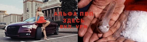СК Алзамай