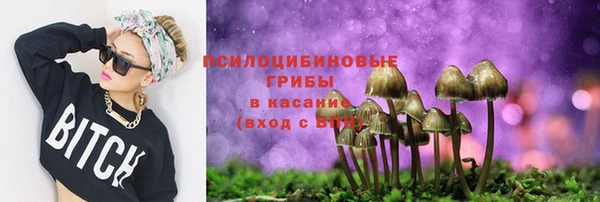 Альфа ПВП Алексин