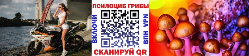 Галлюциногенные грибы Psilocybine cubensis  Липки 